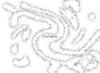 gallery/gal/Cayenne/The_Dregs/_thb_Cashiers.jpg