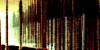 gallery/gal/Cayenne/The_Dregs/_thb_Forest_in_the_Year_6666.jpg